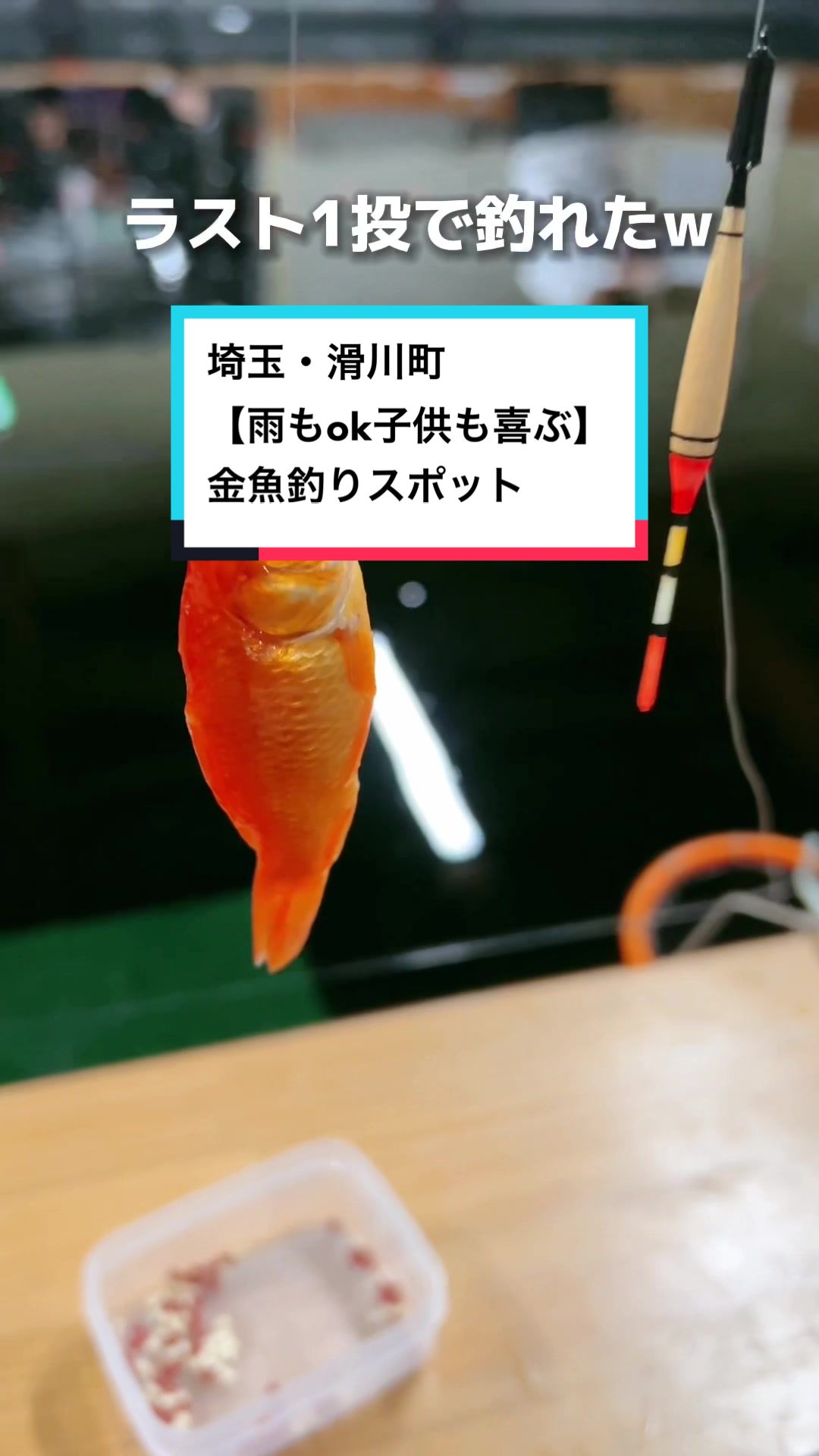 滑川キンギョ釣りセンター