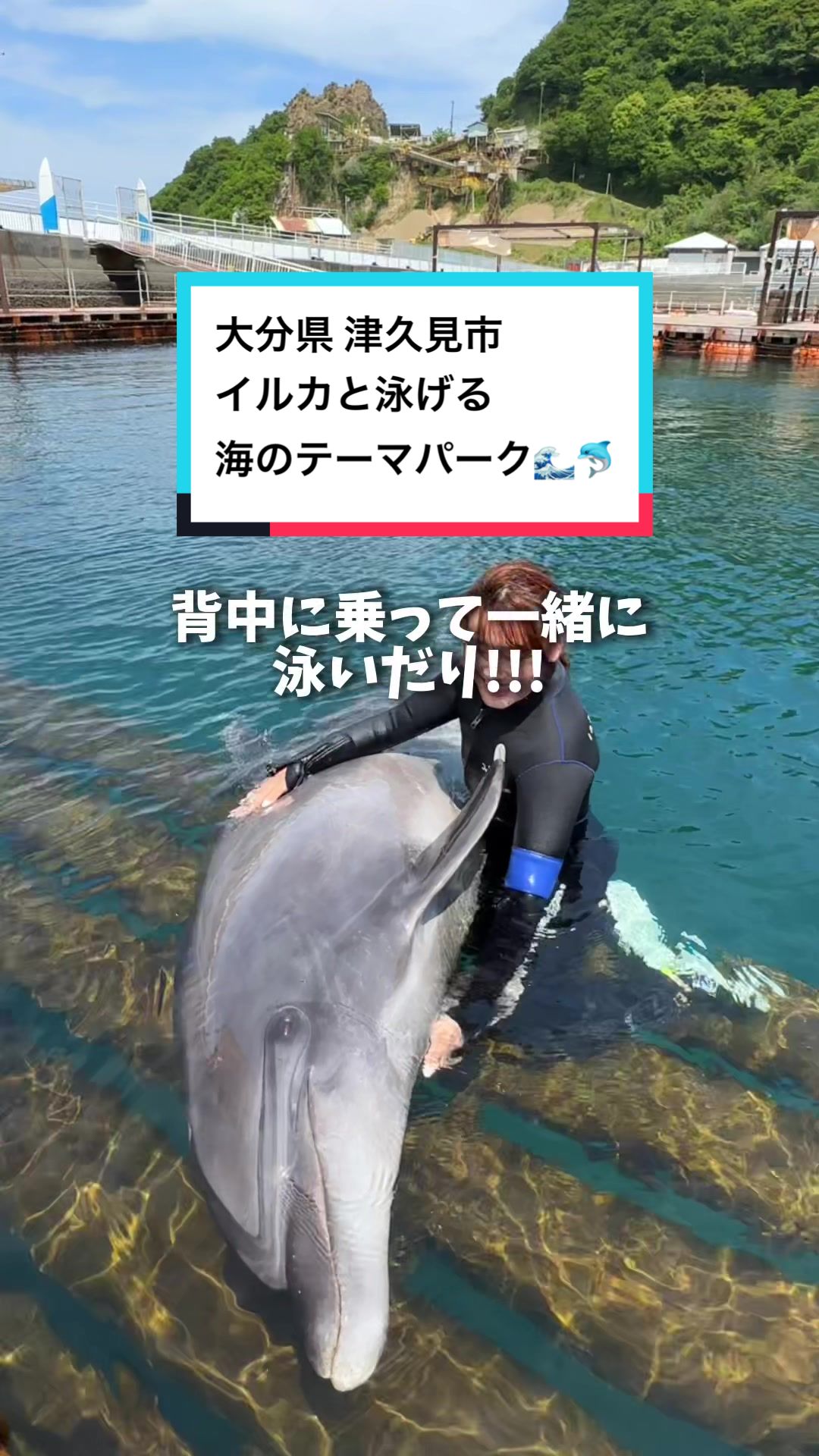 つくみイルカ島