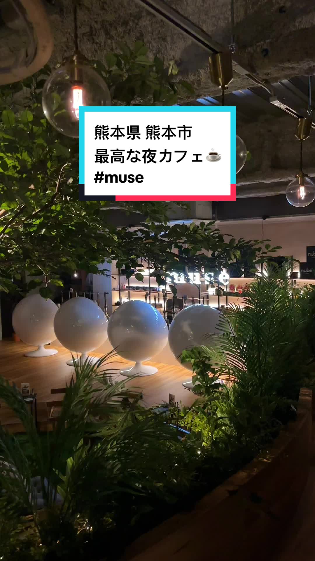 シーシャカフェ＆バー muse/ミューズ 熊本店（hookah lounge muse）