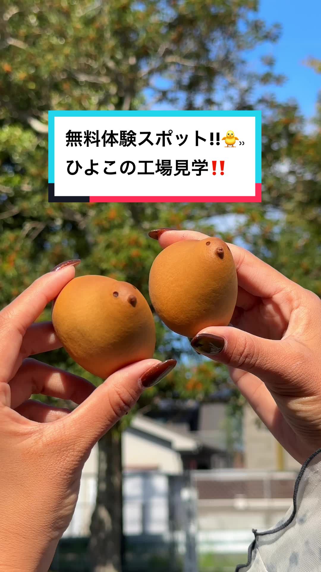 ひよ子本舗吉野堂 穂波工場売店