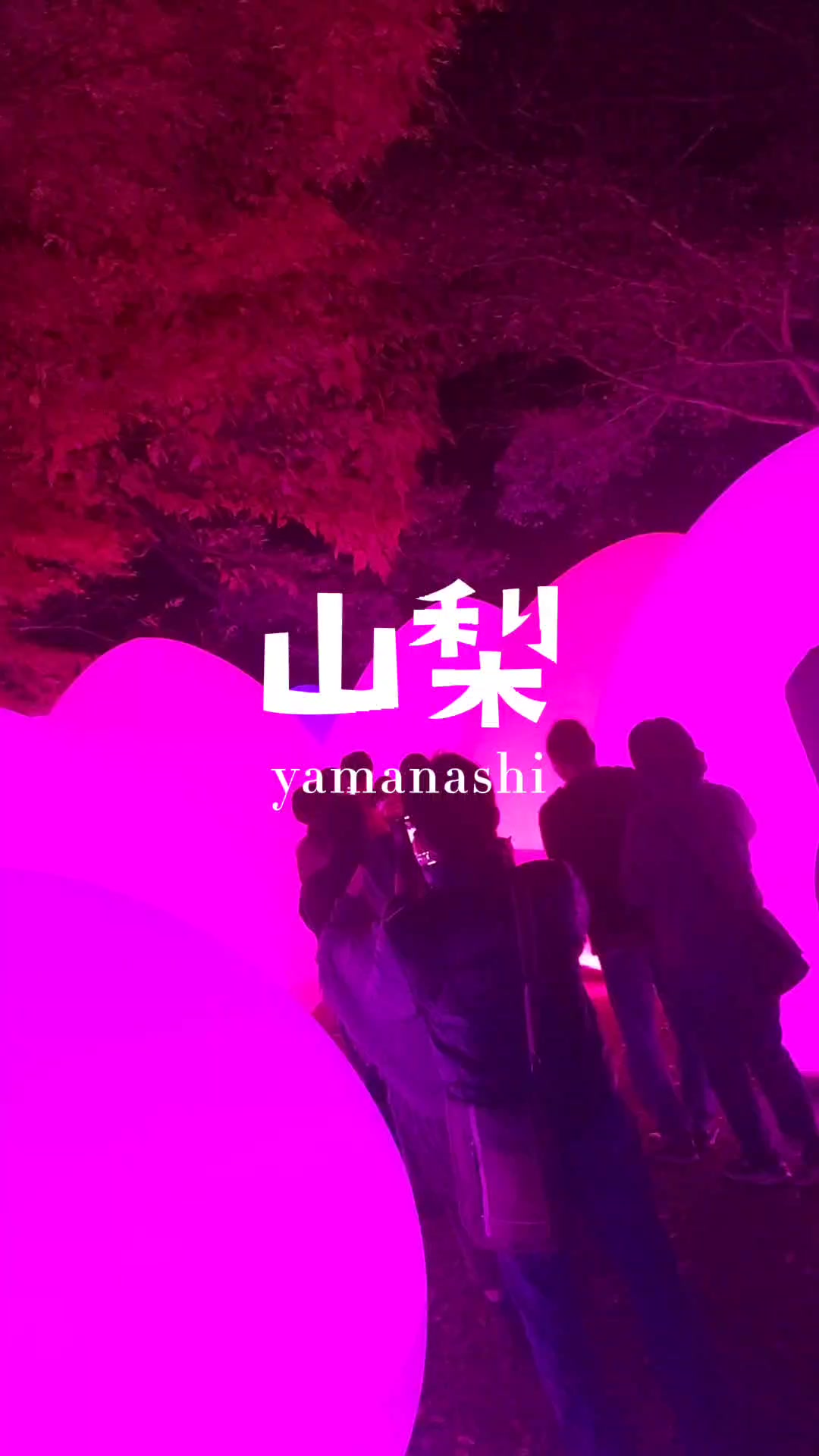 「チームラボ 山中湖 Walk, Walk, Walk」入口