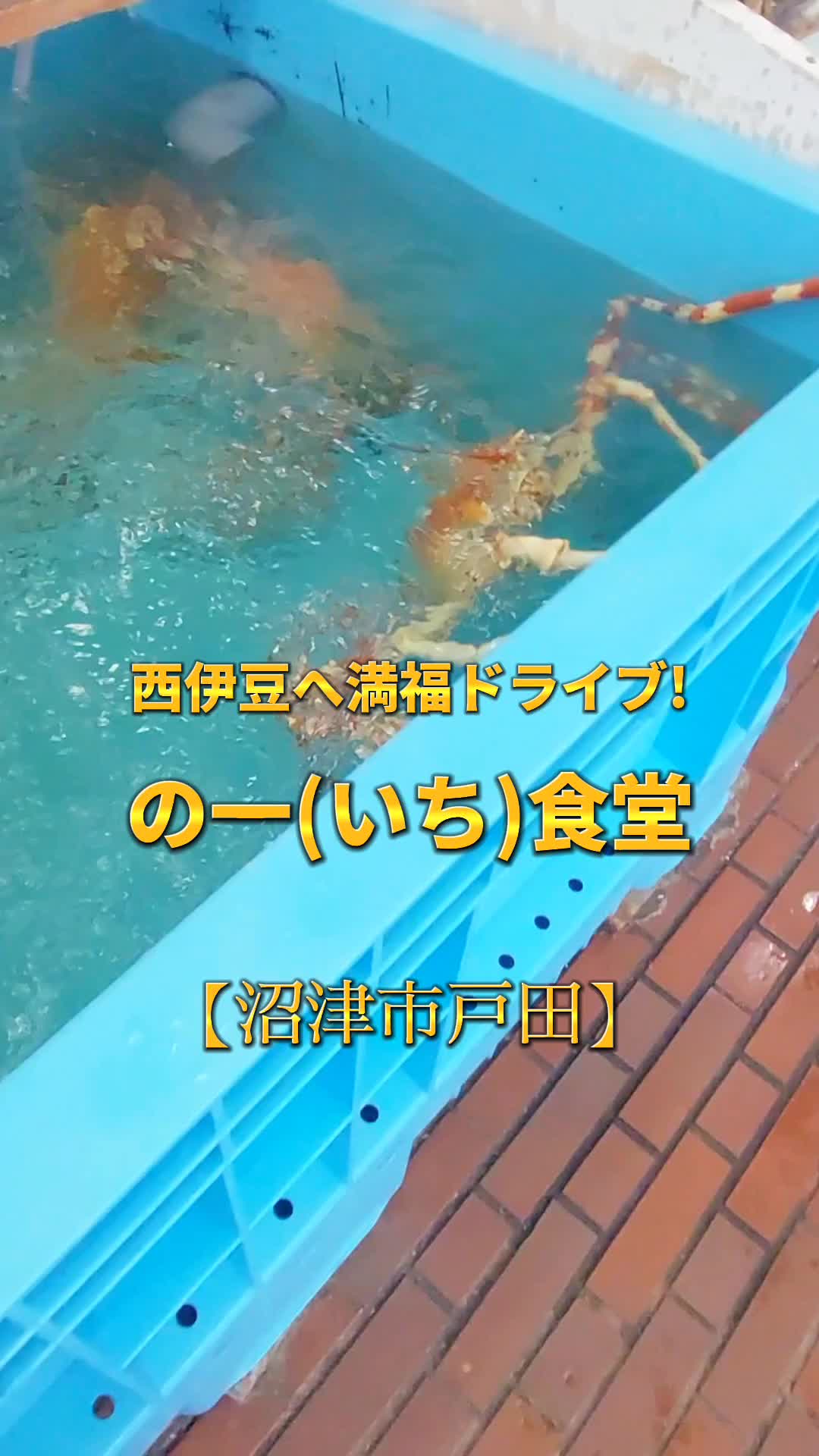 網元光徳丸 食事処 かにや へだ本店