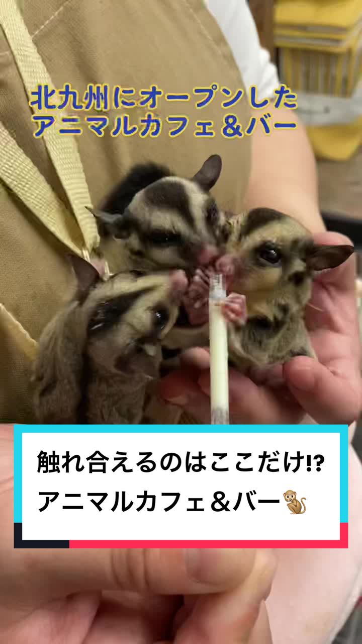 Cafe&Bar エキゾチックアニマルパーク