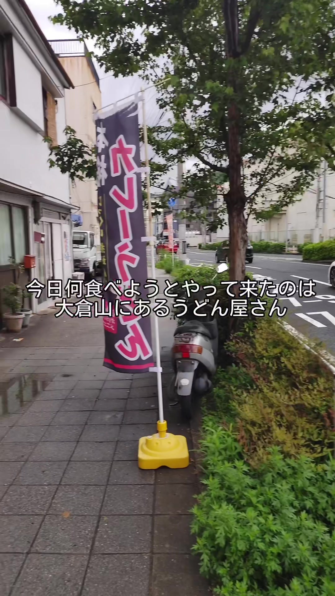 熟成うどん 菊太郎
