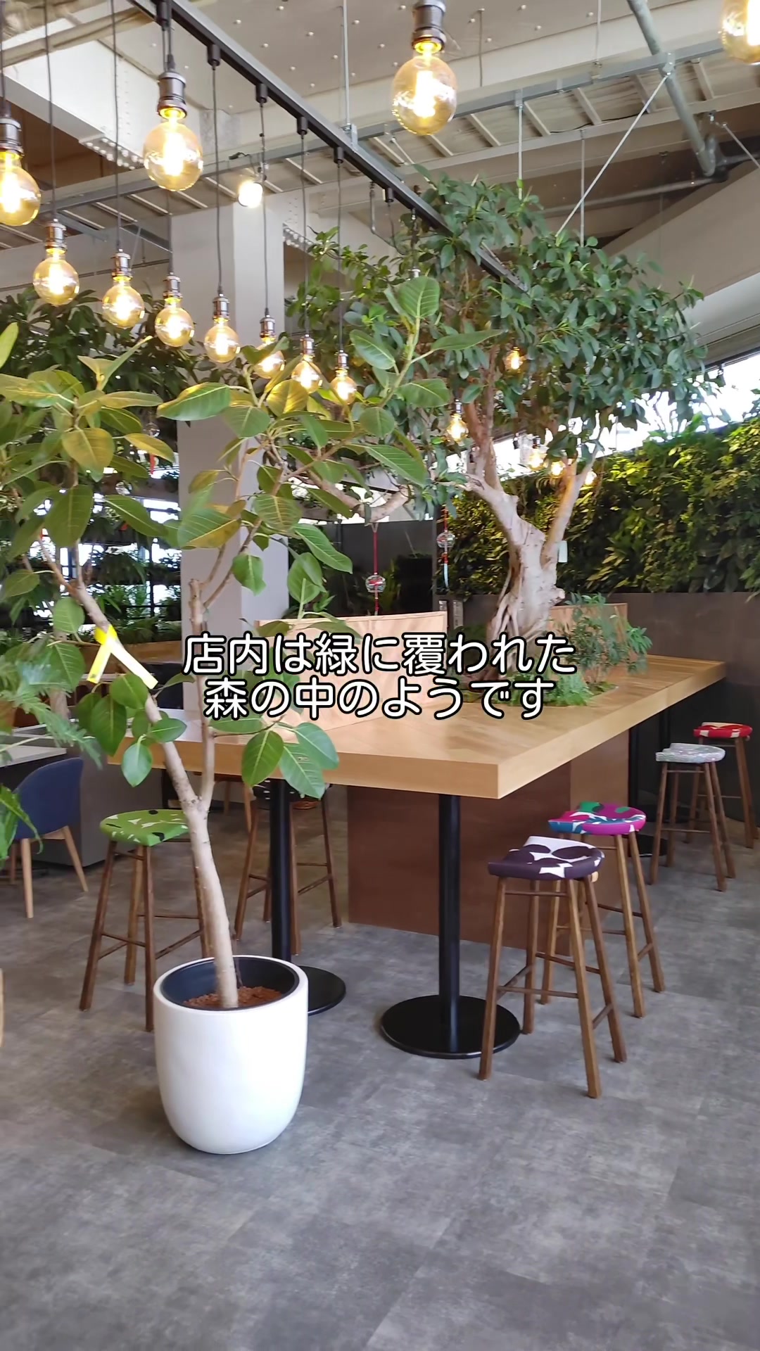 SIDE DISH CAFE 緑菜七彩 おそうざいカフェ
