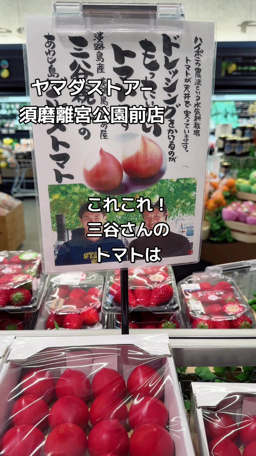 ヤマダストアー 須磨離宮公園前店