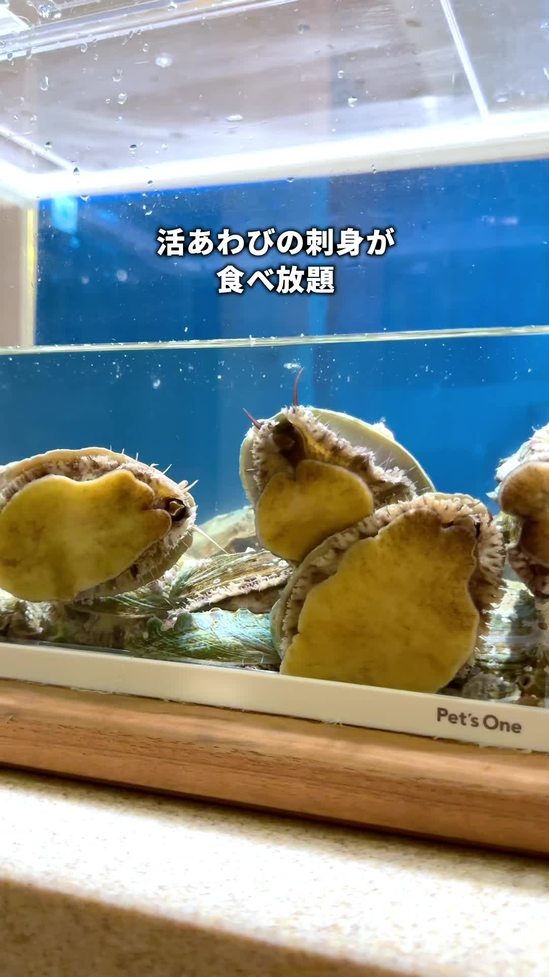 今井荘