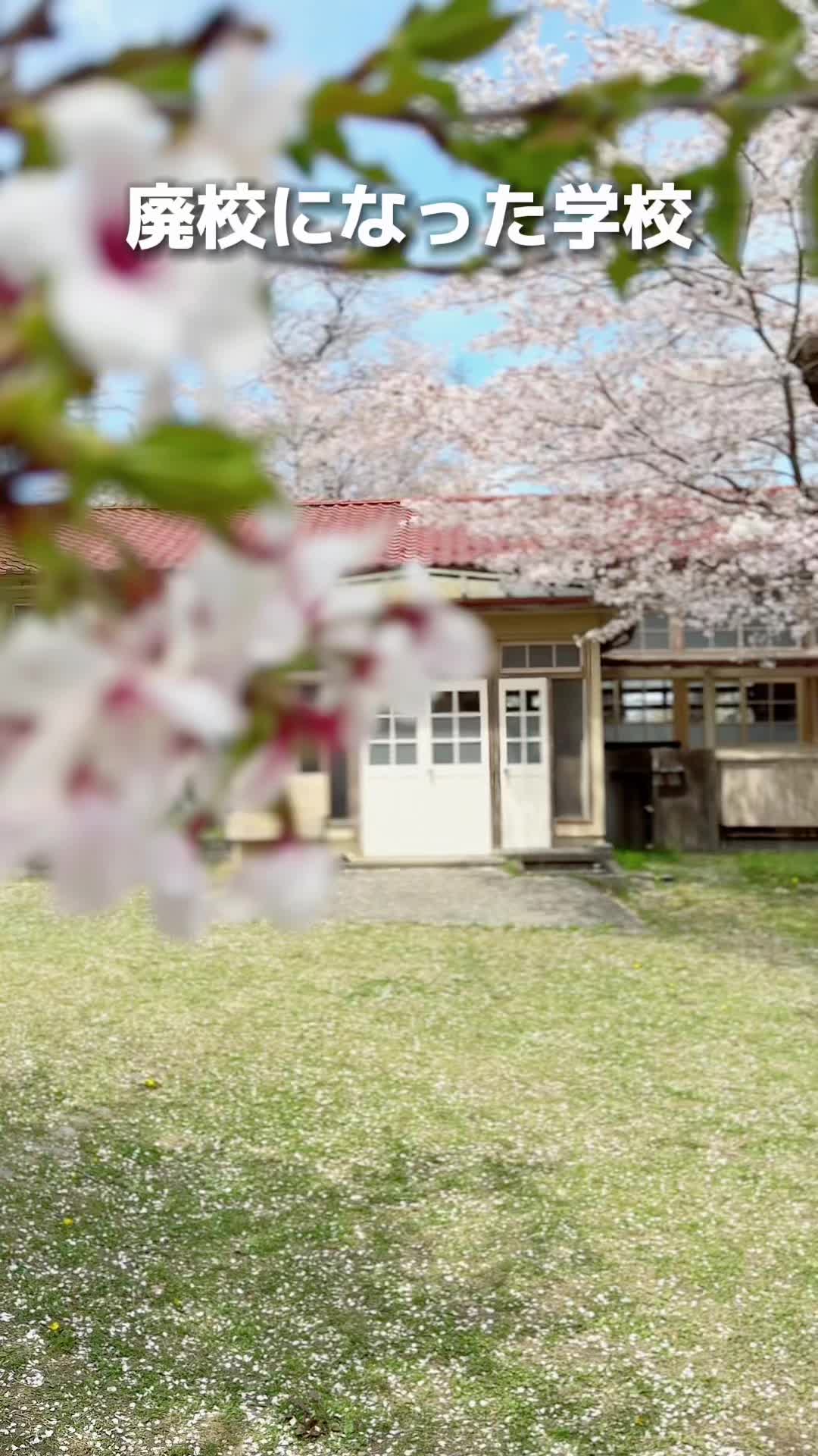 分校カフェ MOZART