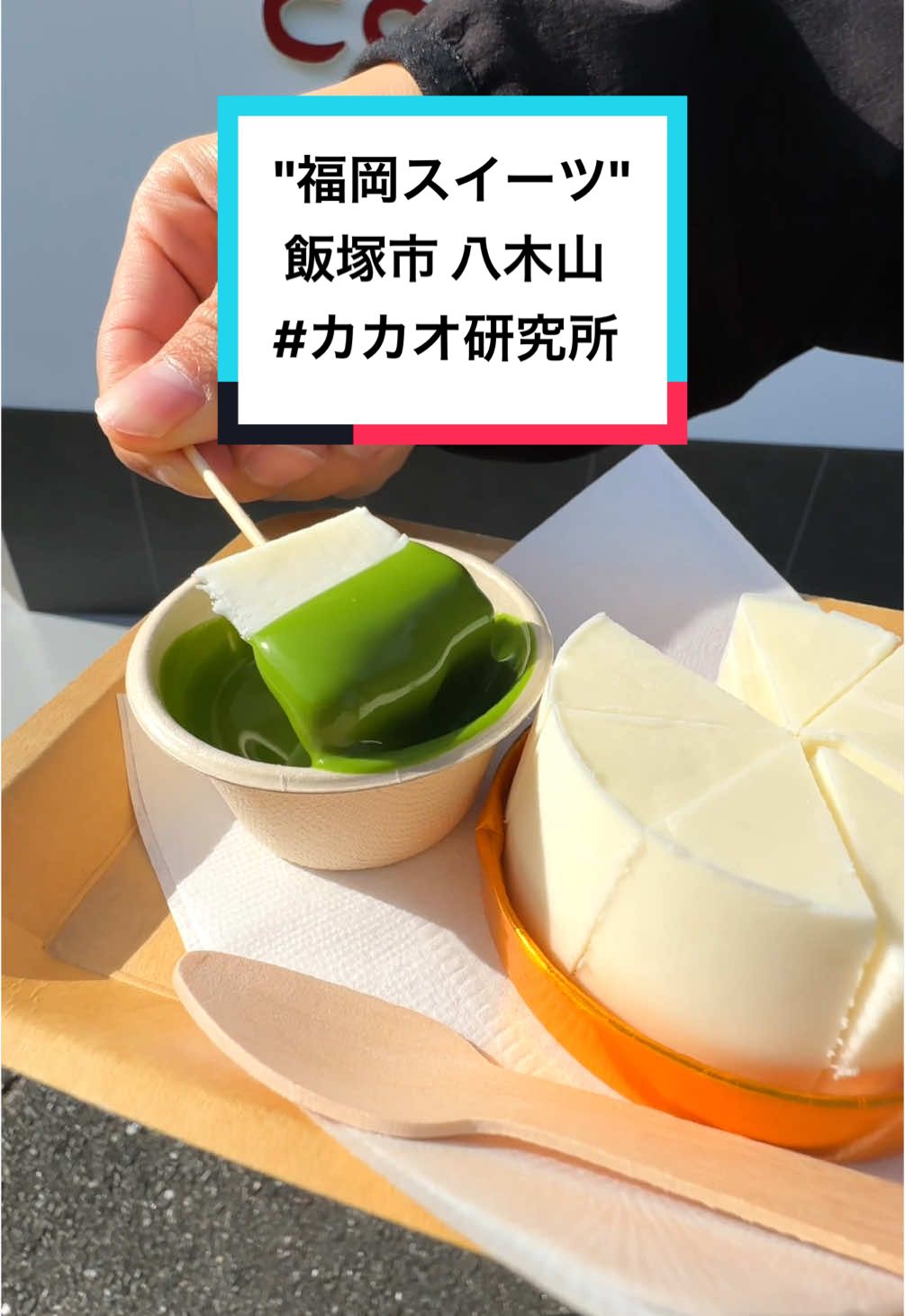 カカオ研究所