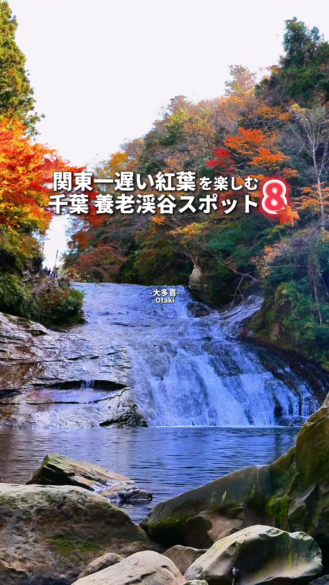 山里のジェラテリア 山猫