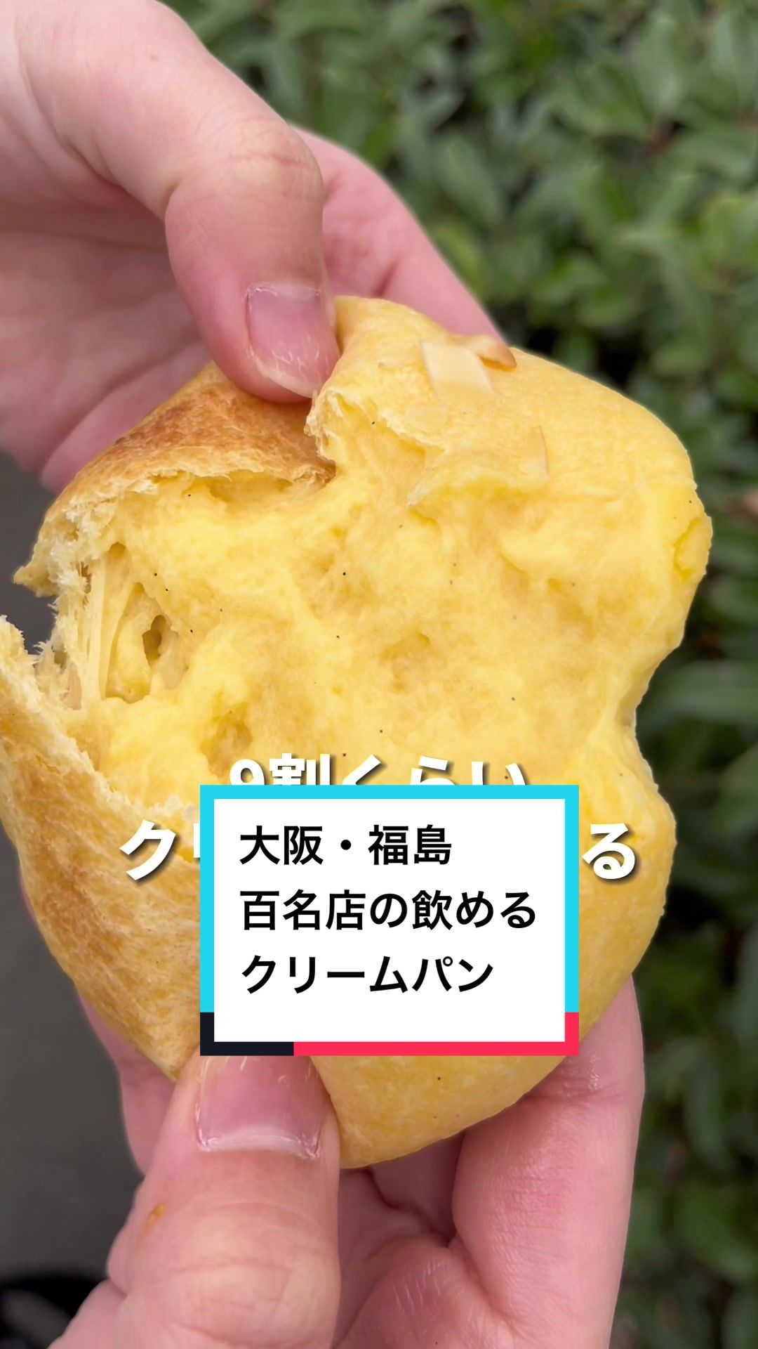 パネ・ポルチーニ