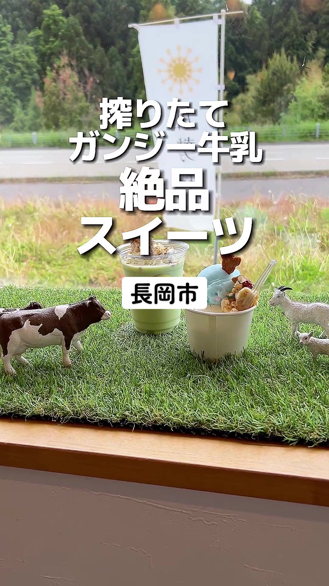 加勢牧場 わしま本店
