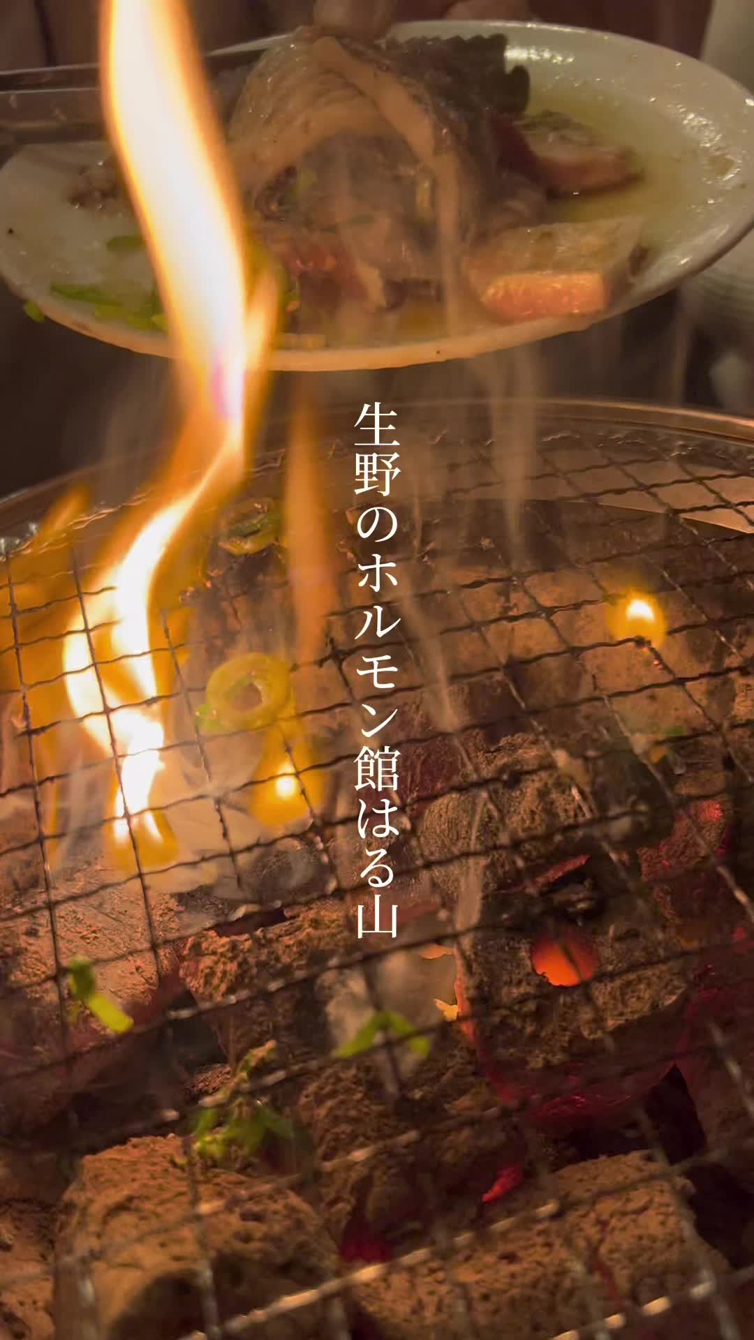 ホルモン館はる山