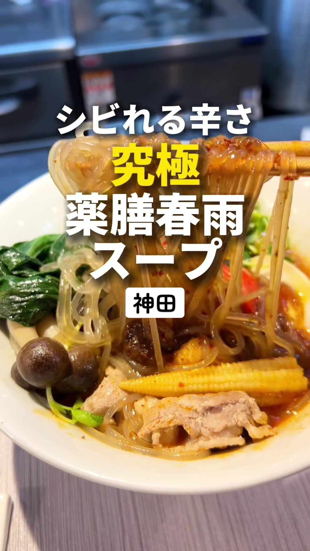 パイラー 白湯×麻辣