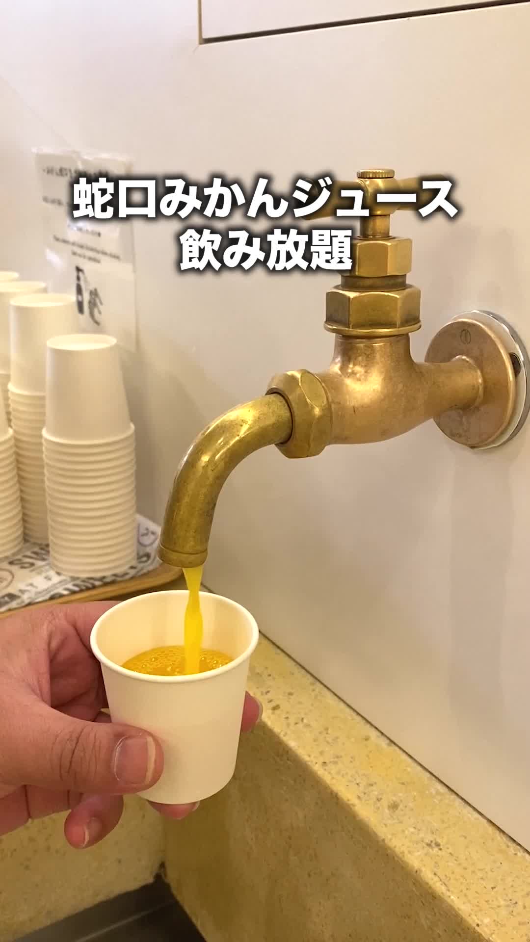 道後やや
