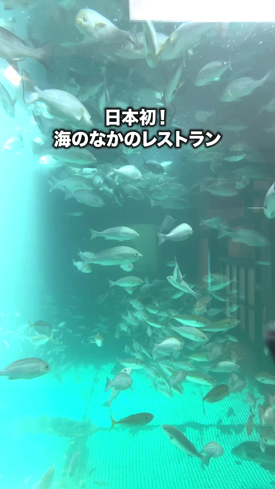 海中魚処 萬坊(呼子萬坊)