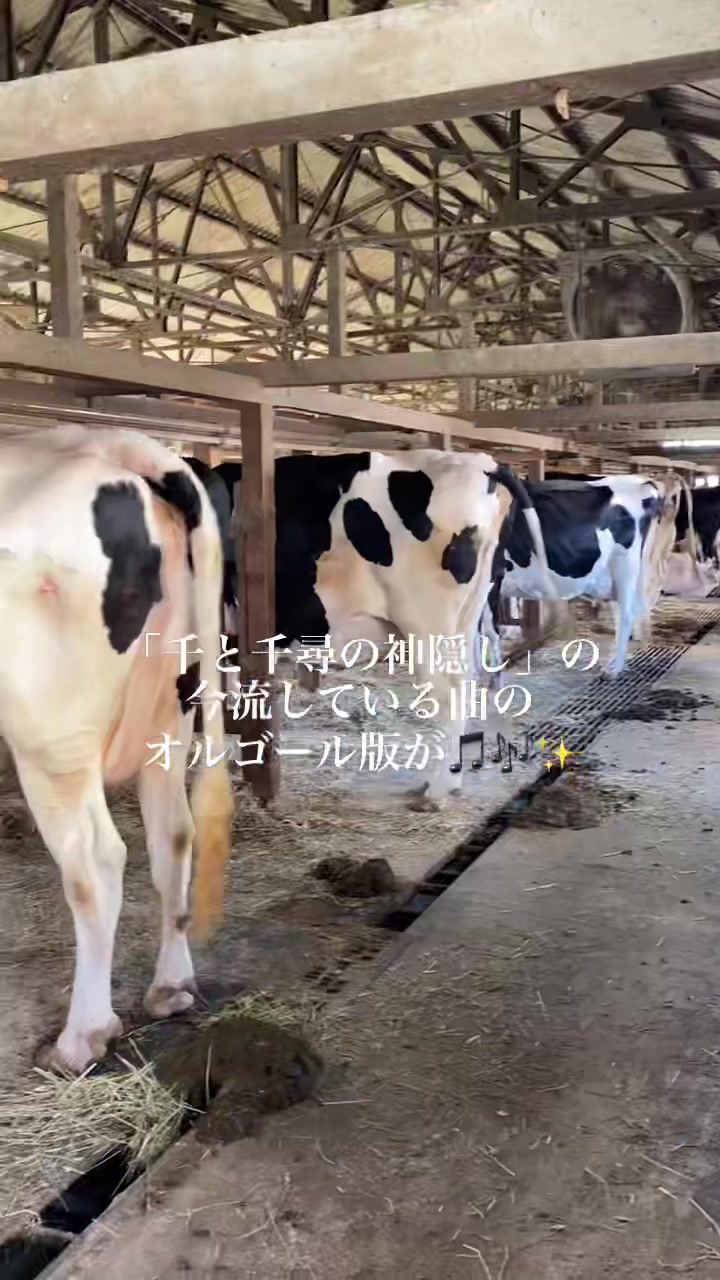 炭火焼濃厚中華そば 海富道
