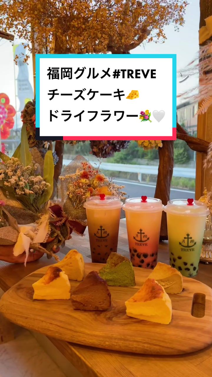 トレヴ 芦屋店