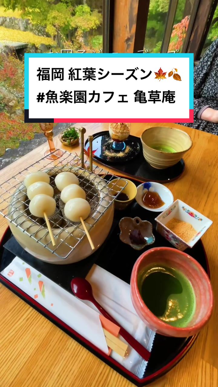魚楽園カフェ「亀草庵」
