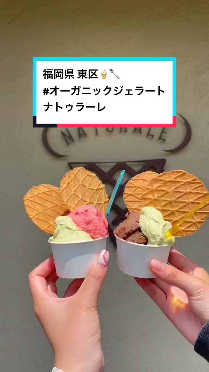 オーガニックジェラート GELATO NATURALE ジェラート ナトゥラーレ