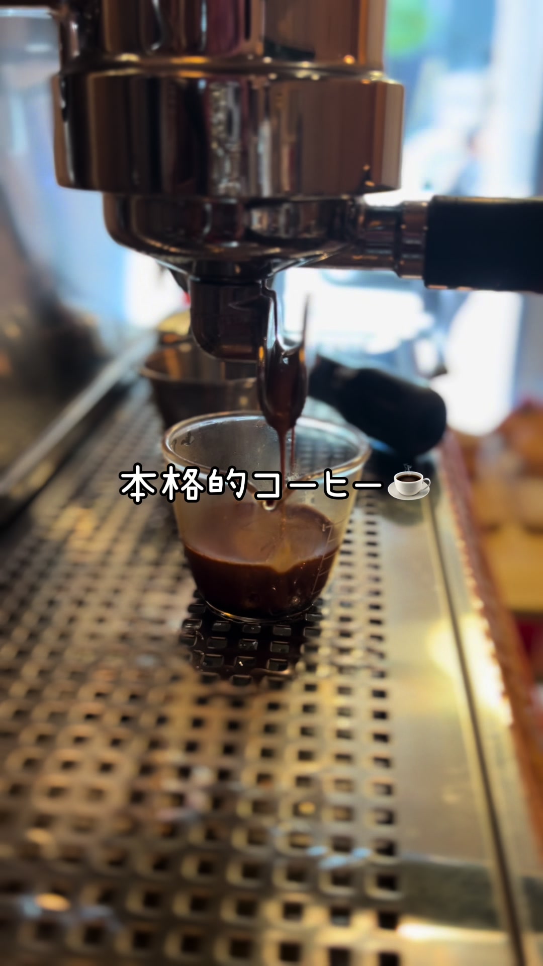 6 RACCOON - Cafe Society