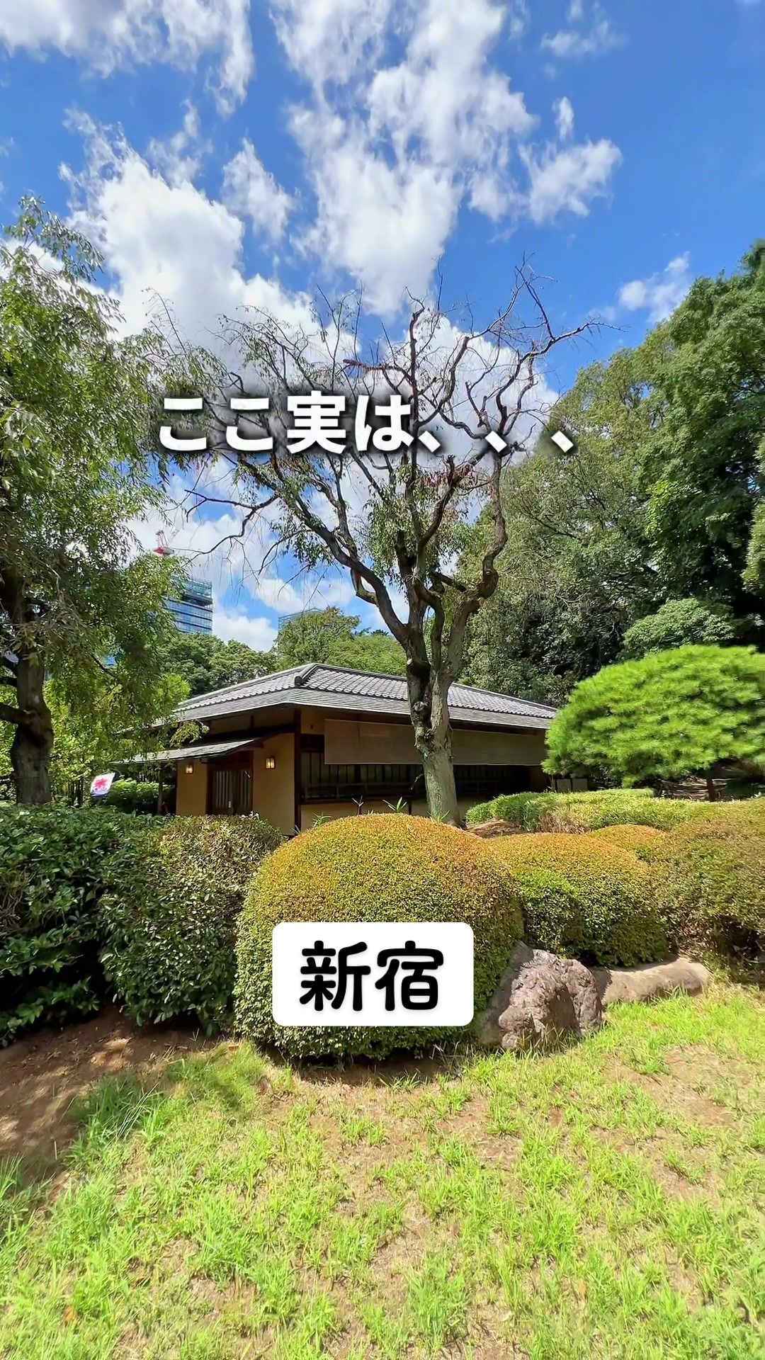 新宿御苑 茶室 楽羽亭