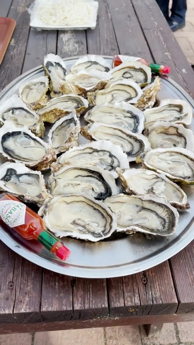 マリーナ河芸