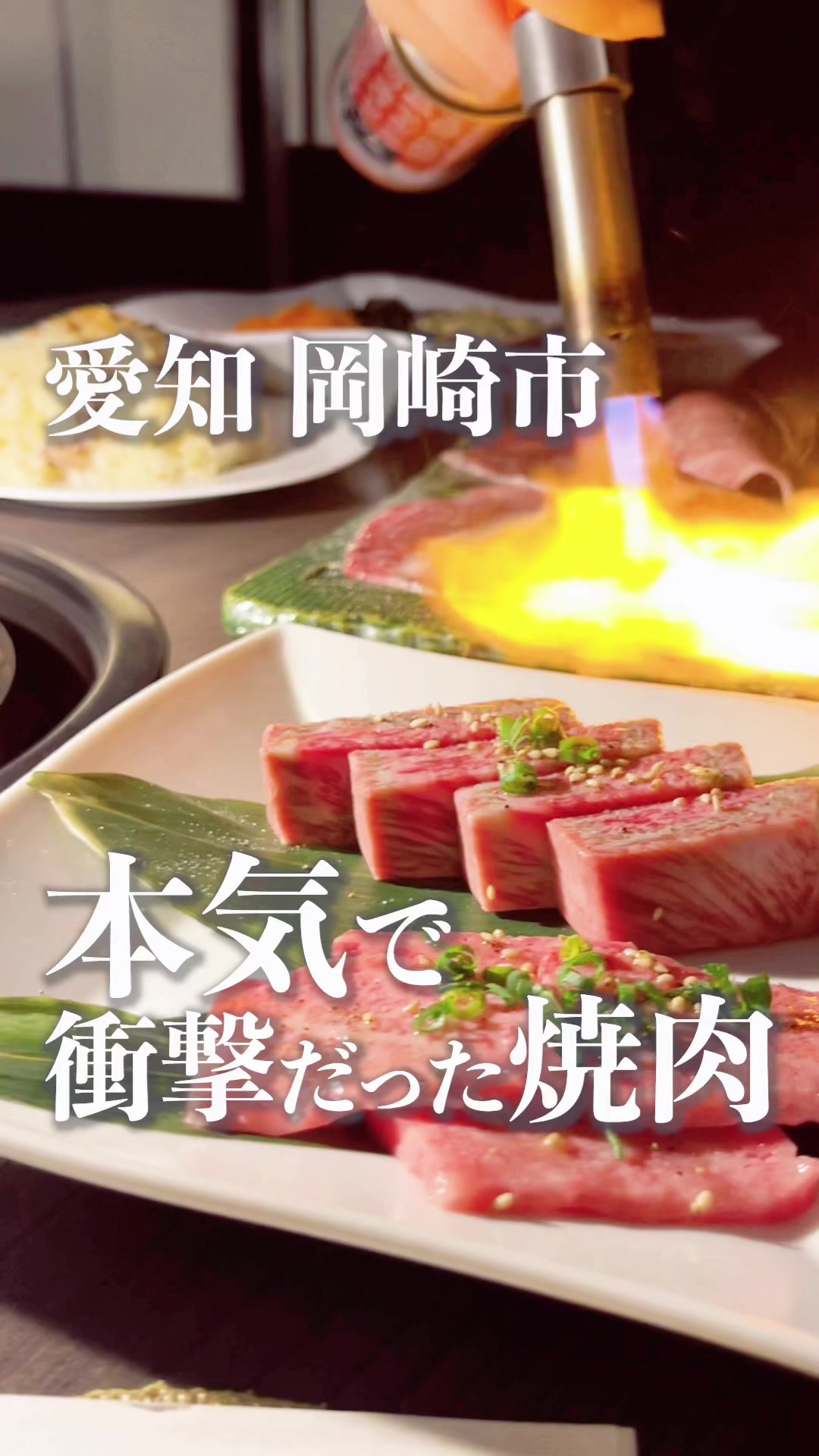 岡崎焼肉 飛騨牛の奴隷