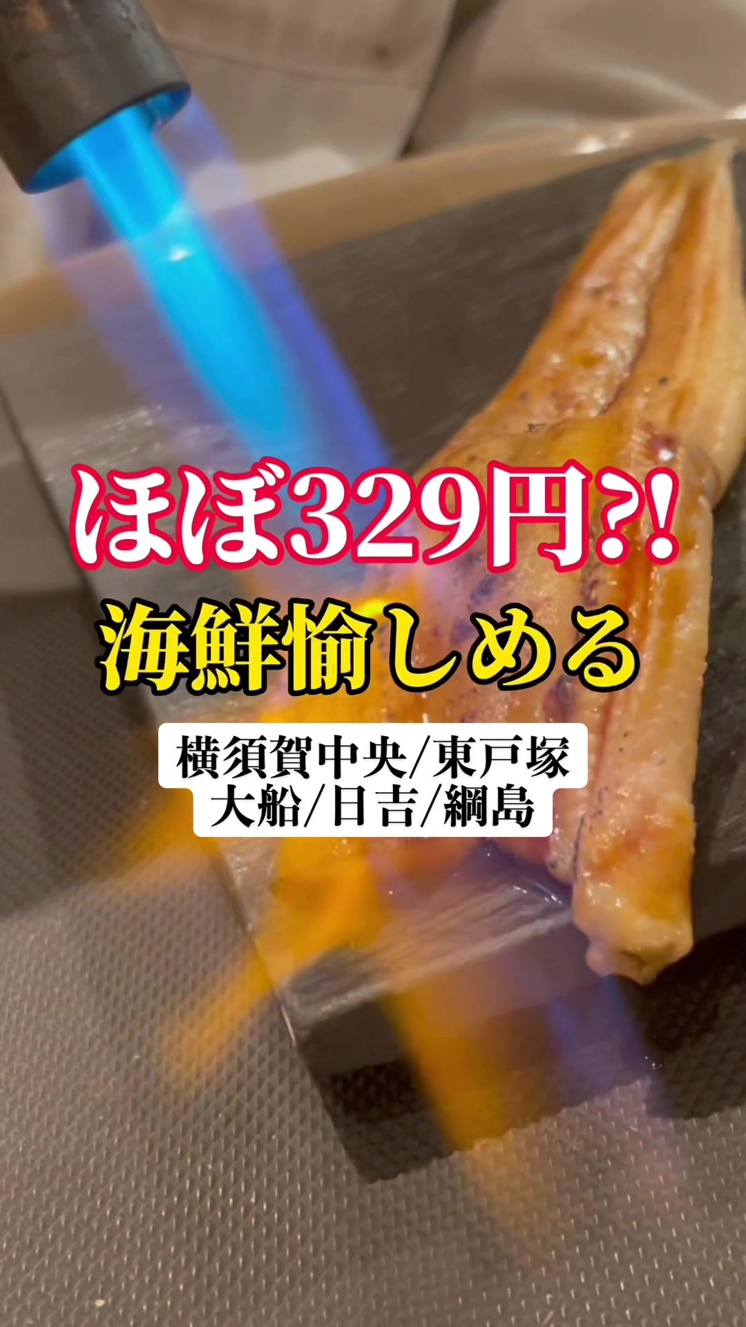 鮨・酒・肴 杉玉 横須賀中央