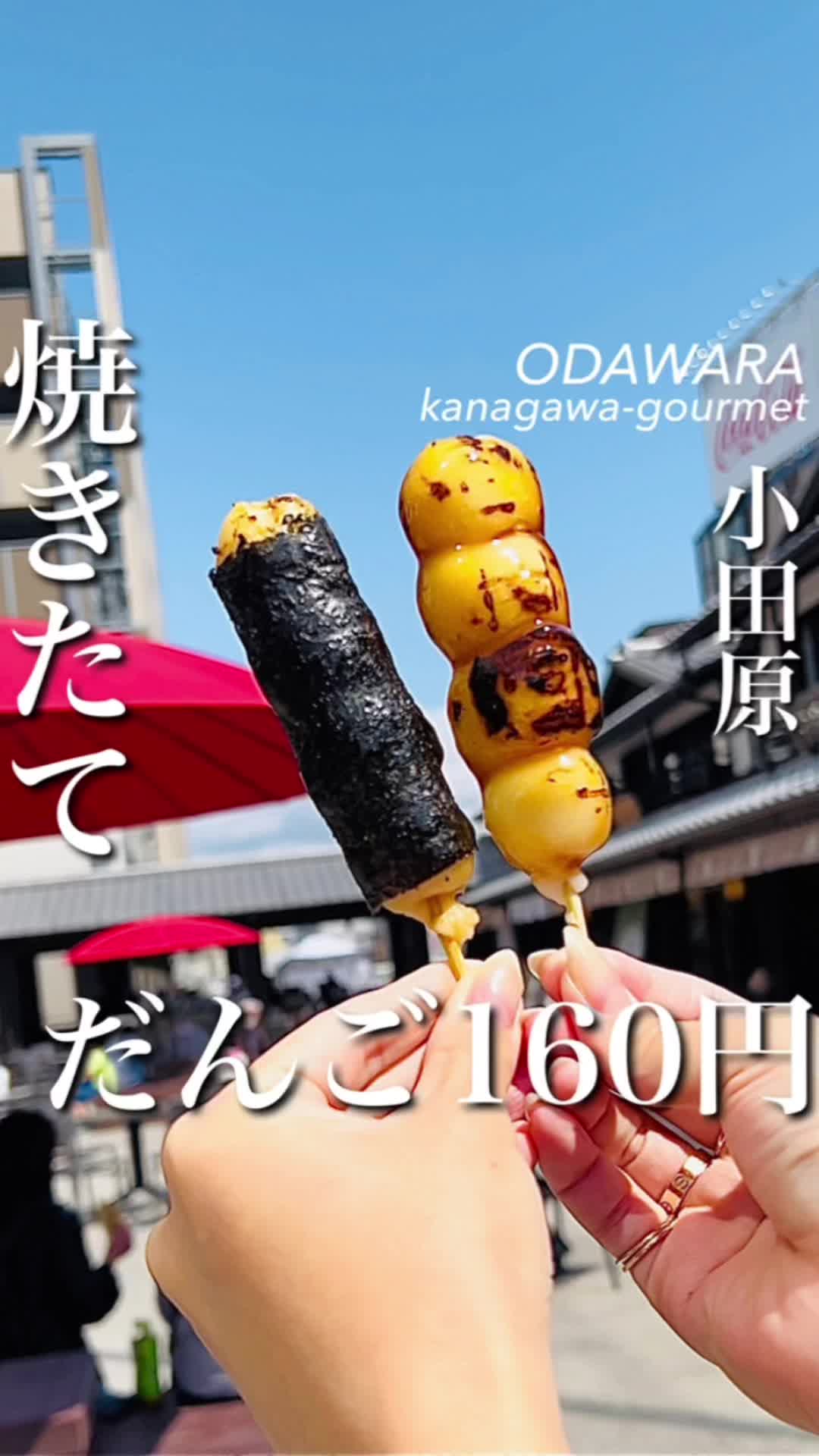 福来すずめ minaka小田原店(小田原種秀)