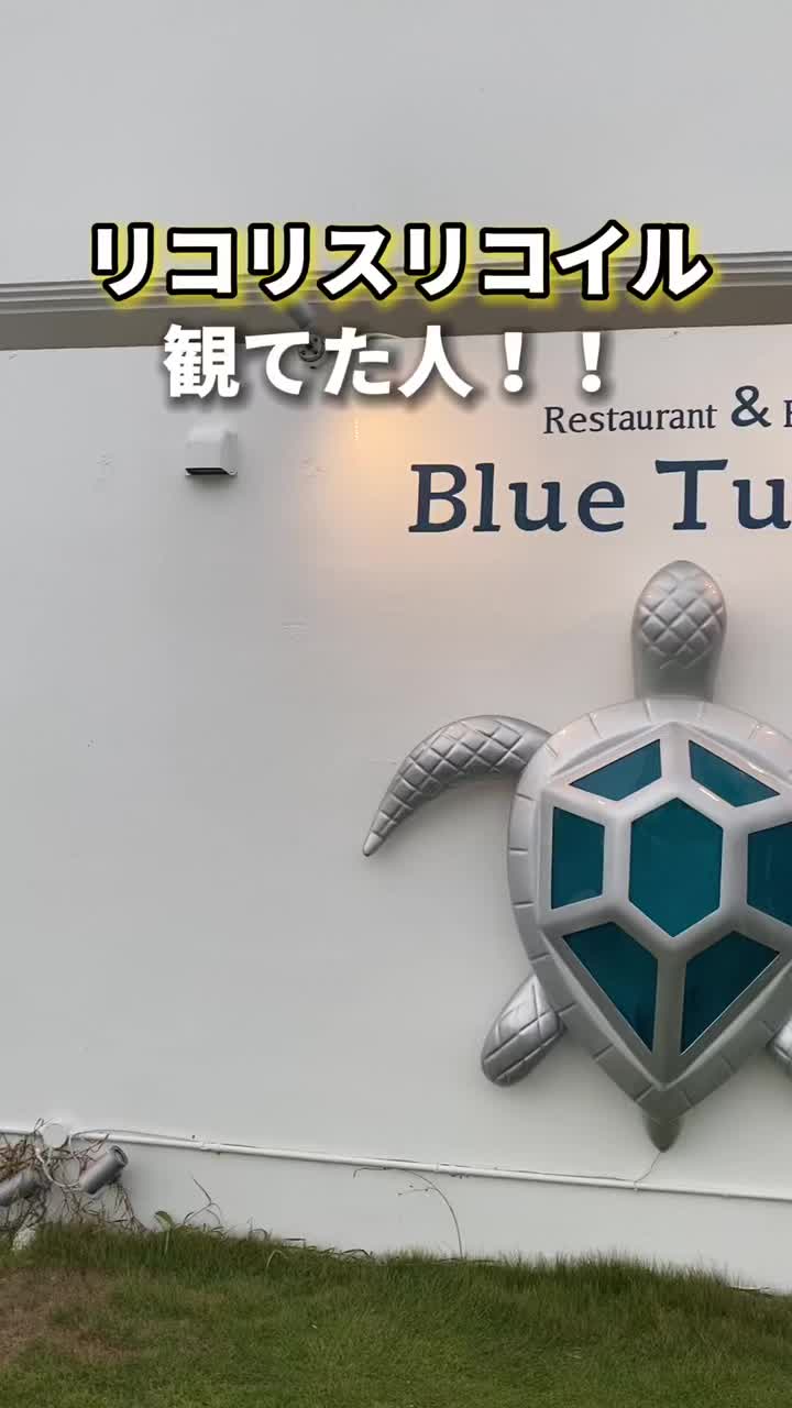 ブルータートル[Blue Turtle]