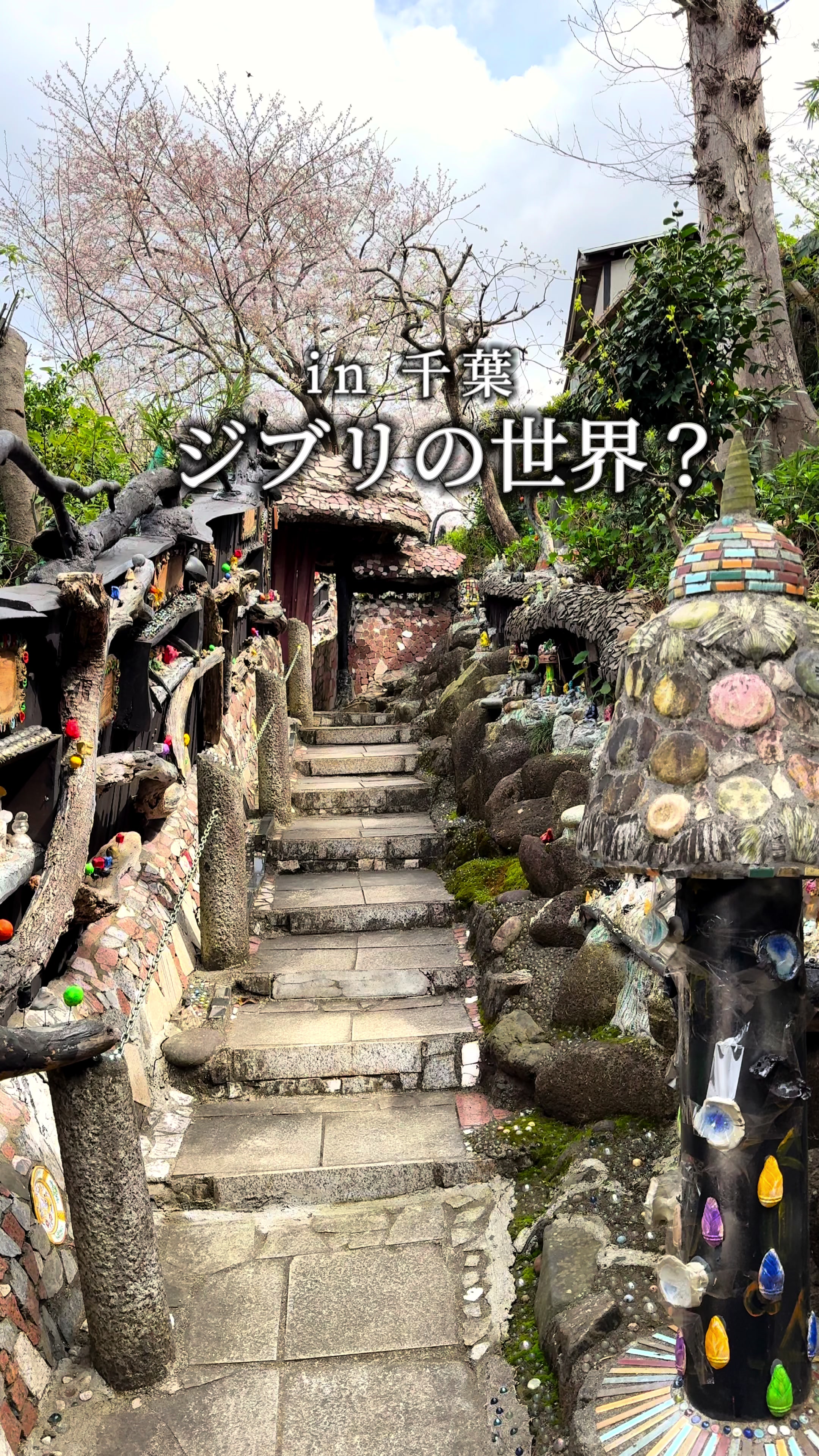 竹やぶ 柏本店