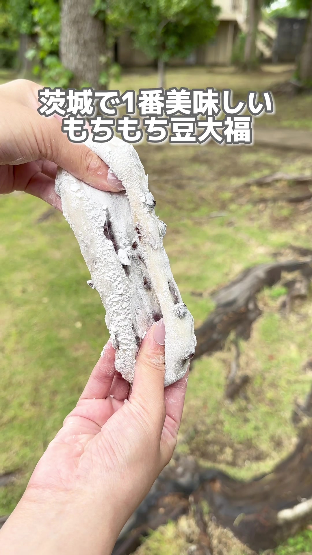 小倉屋