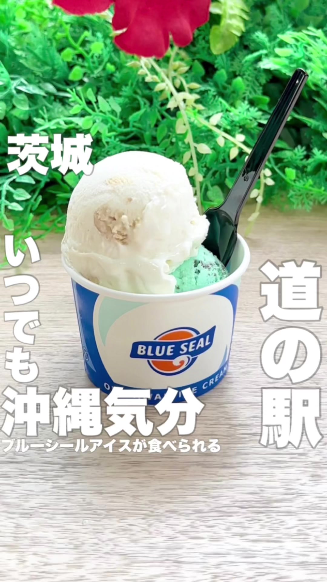 道の駅 さかい