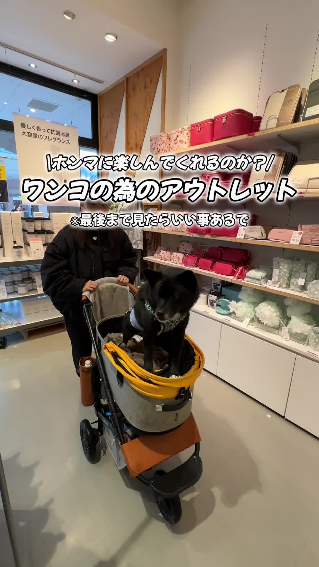 三井アウトレットパーク 滋賀竜王