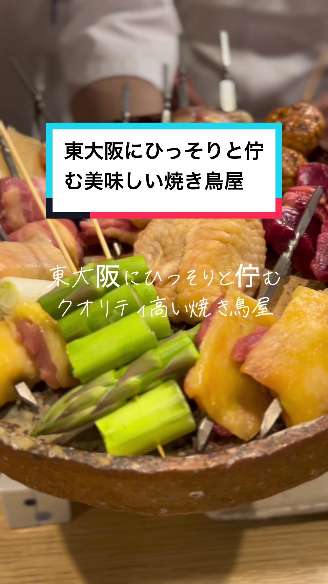 焼鳥 登鶏