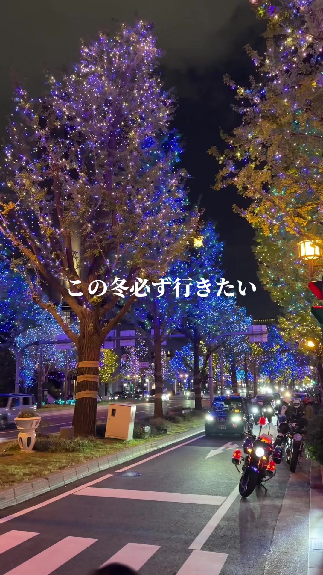 豚匠とんかつ ひらのや