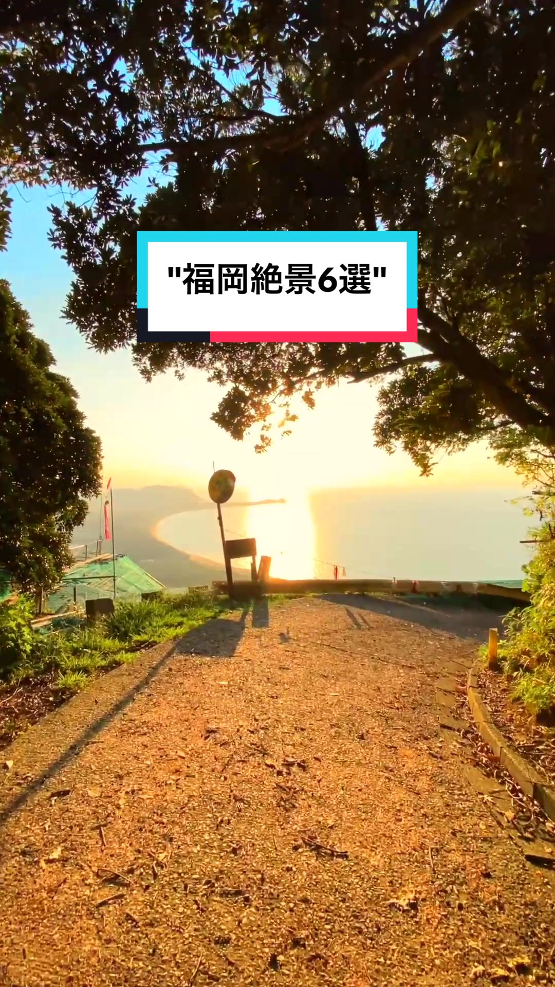 海カフェ -岡八-