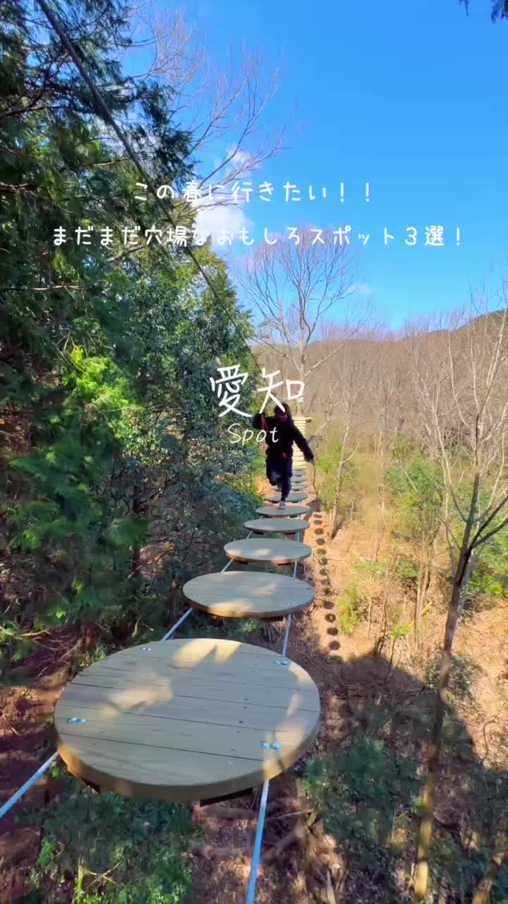 カフェ 柚子木
