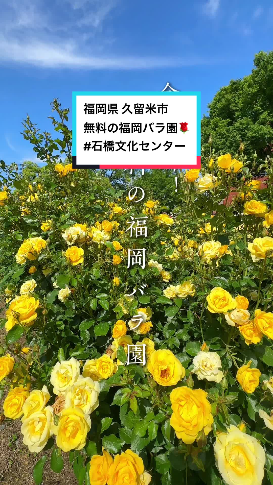 久留米市美術館