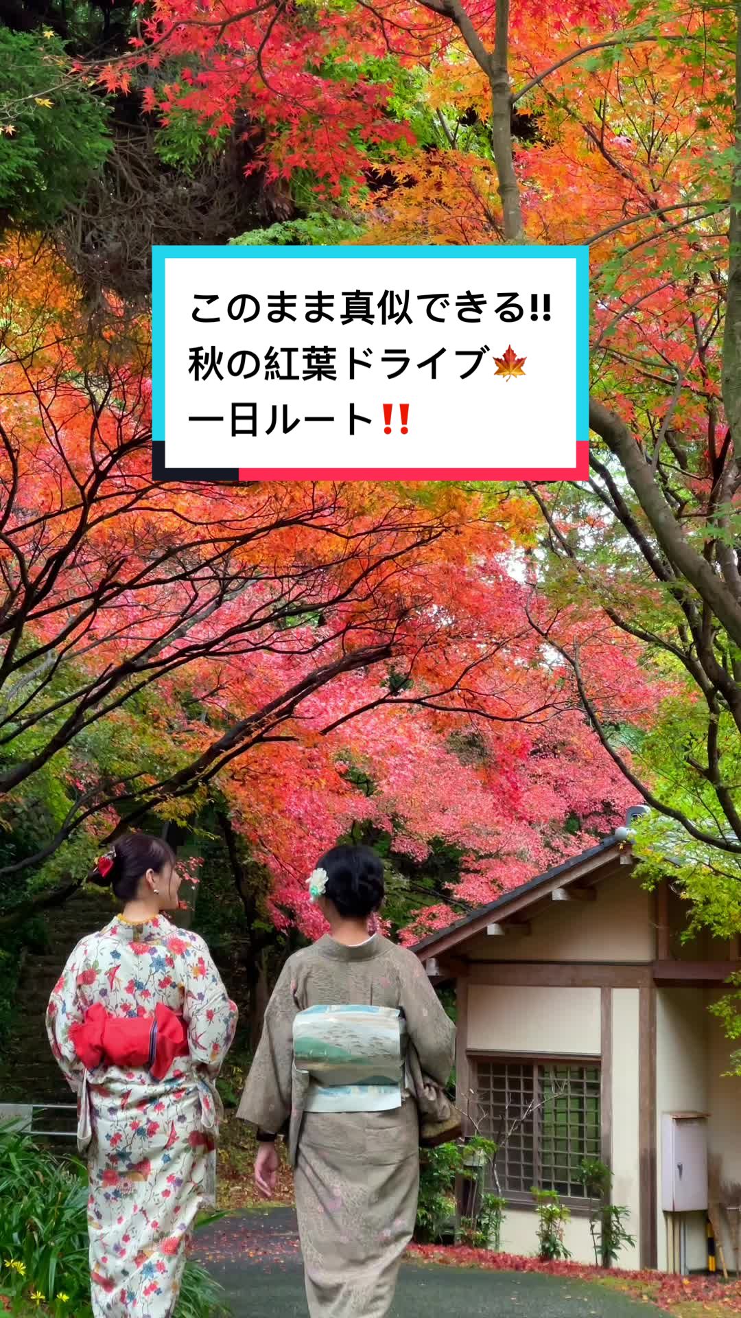チムニー