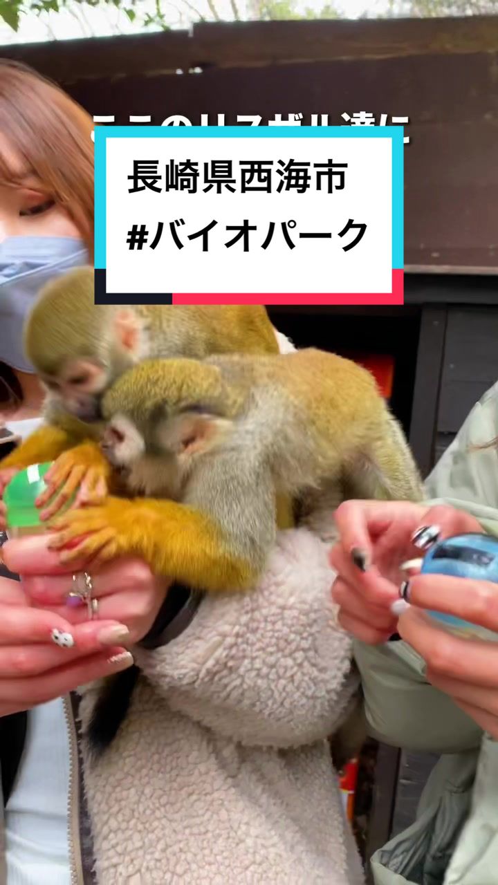 ケーナ