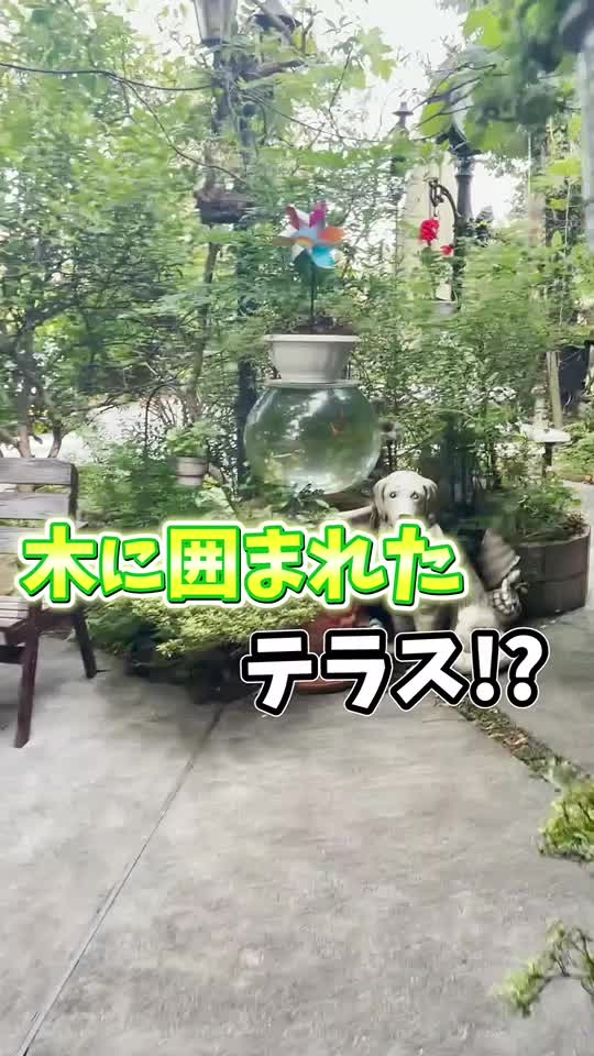 木の実