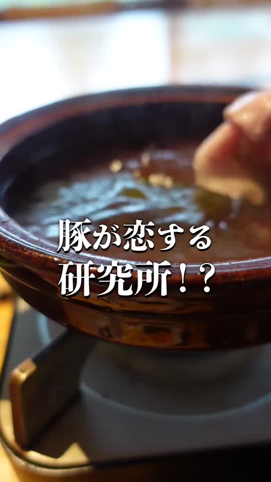 恋する豚研究所