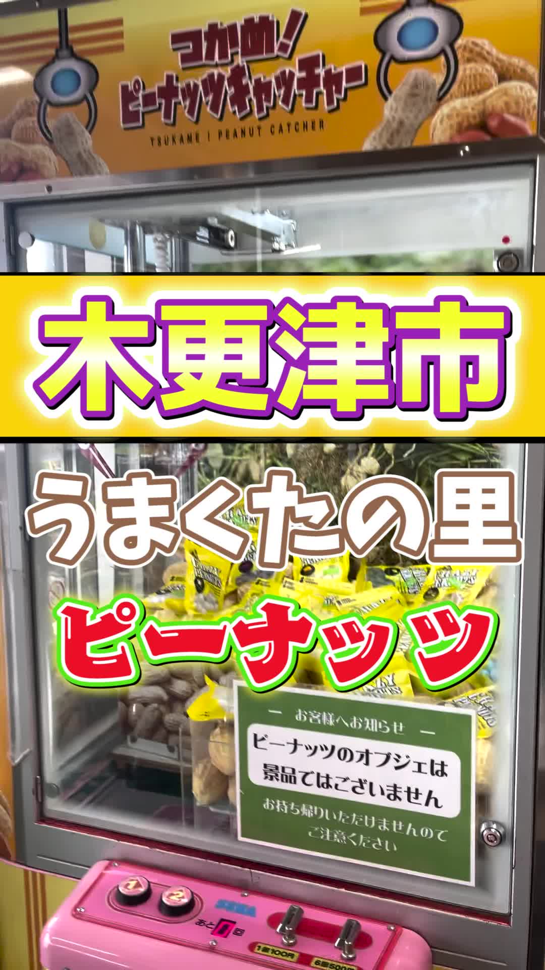 道の駅 木更津うまくたの里