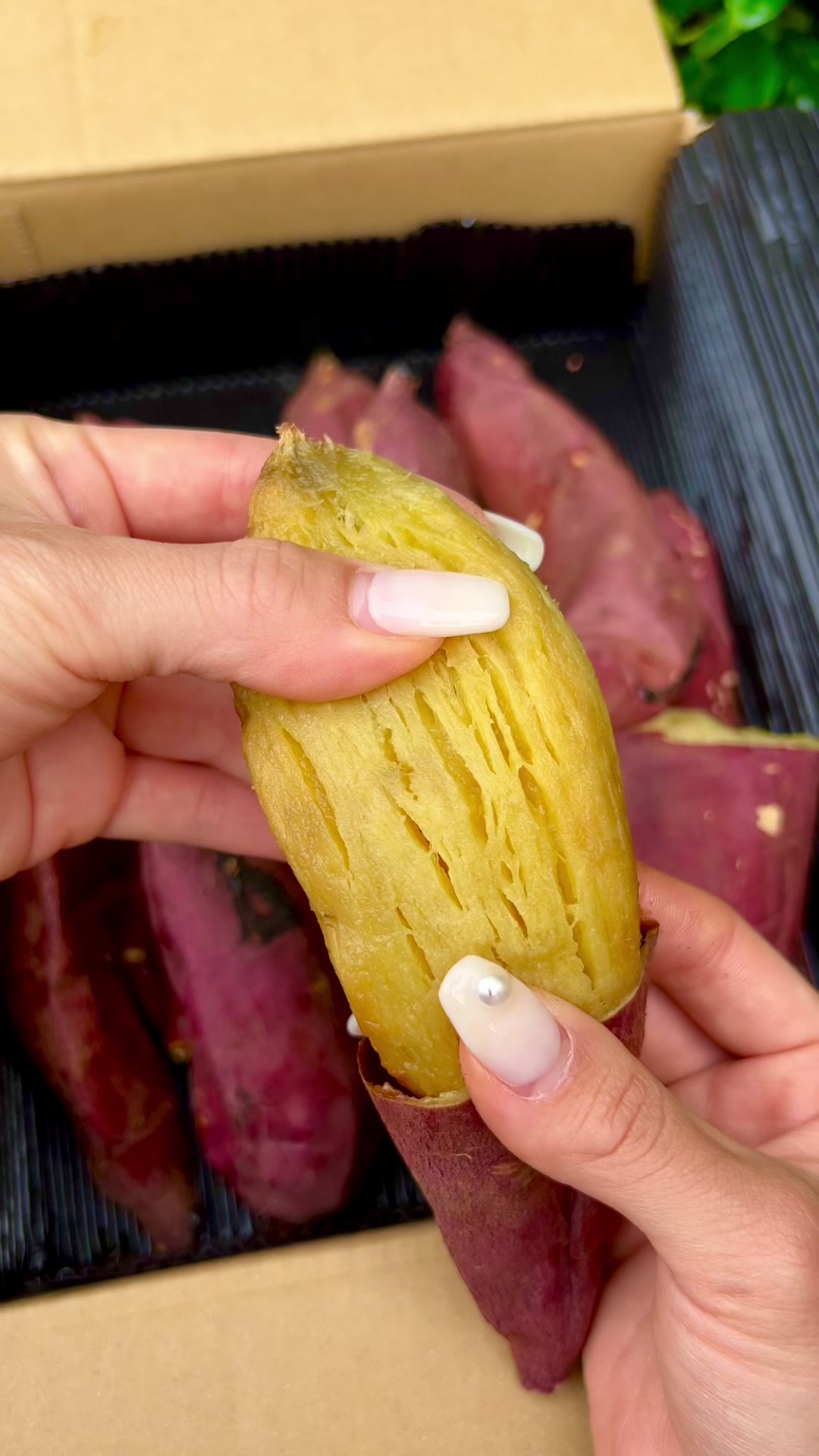 蔵出し焼き芋かいつか ラゾーナ川崎プラザ店
