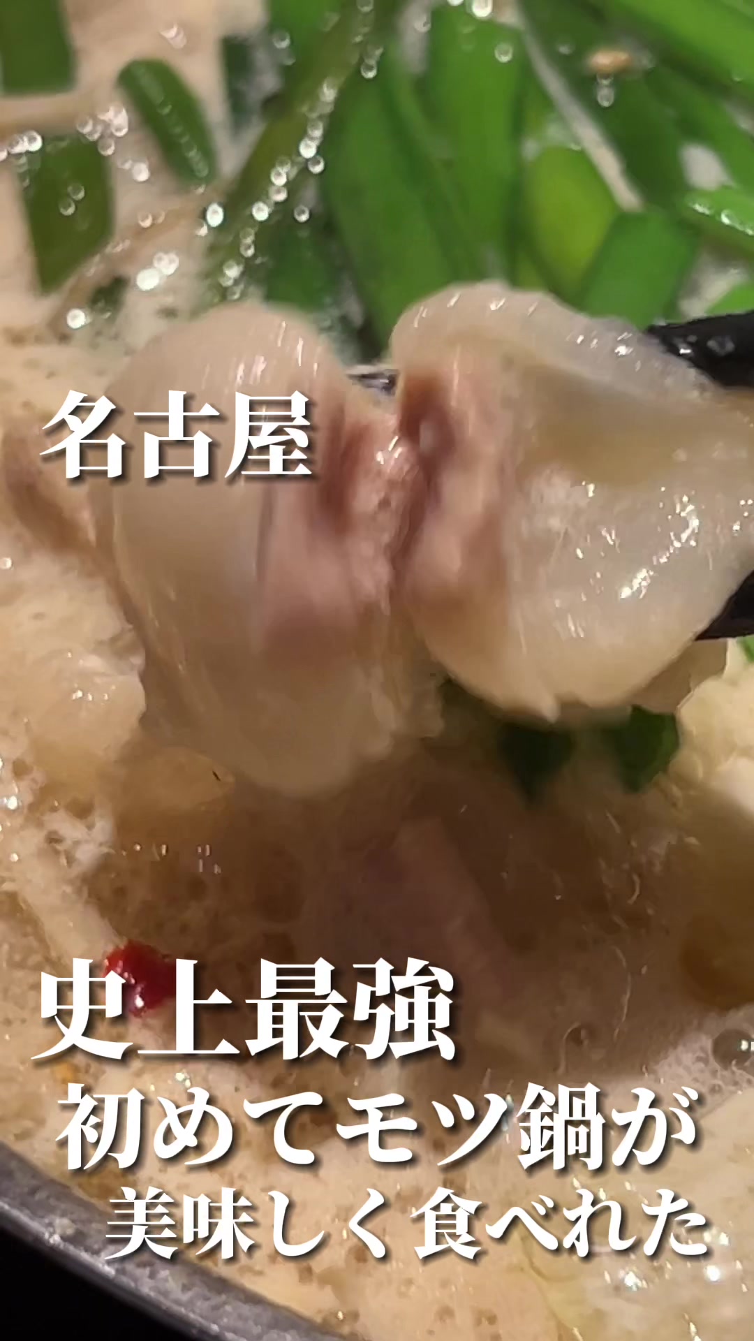 もつ鍋 田しゅう 名古屋店 栄