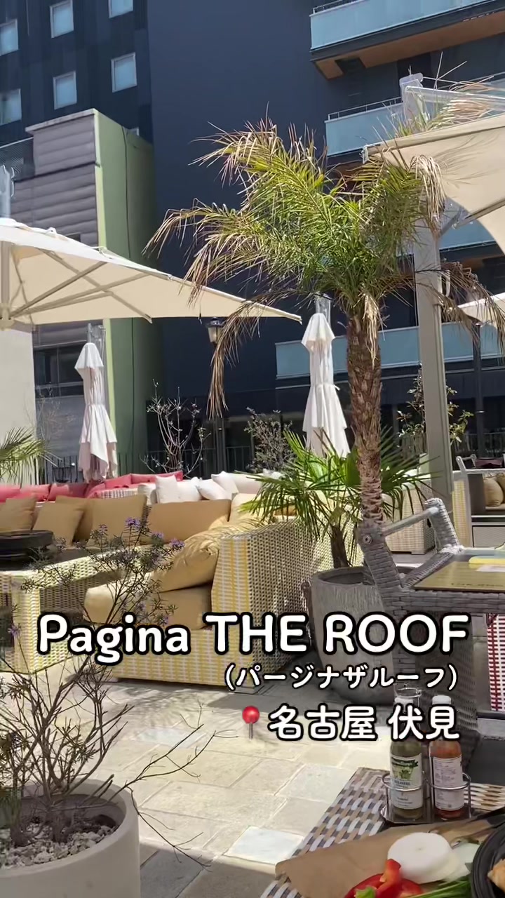 Pagina the roof