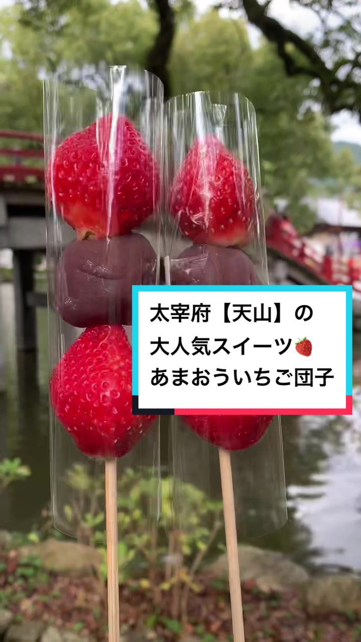 天山 本店
