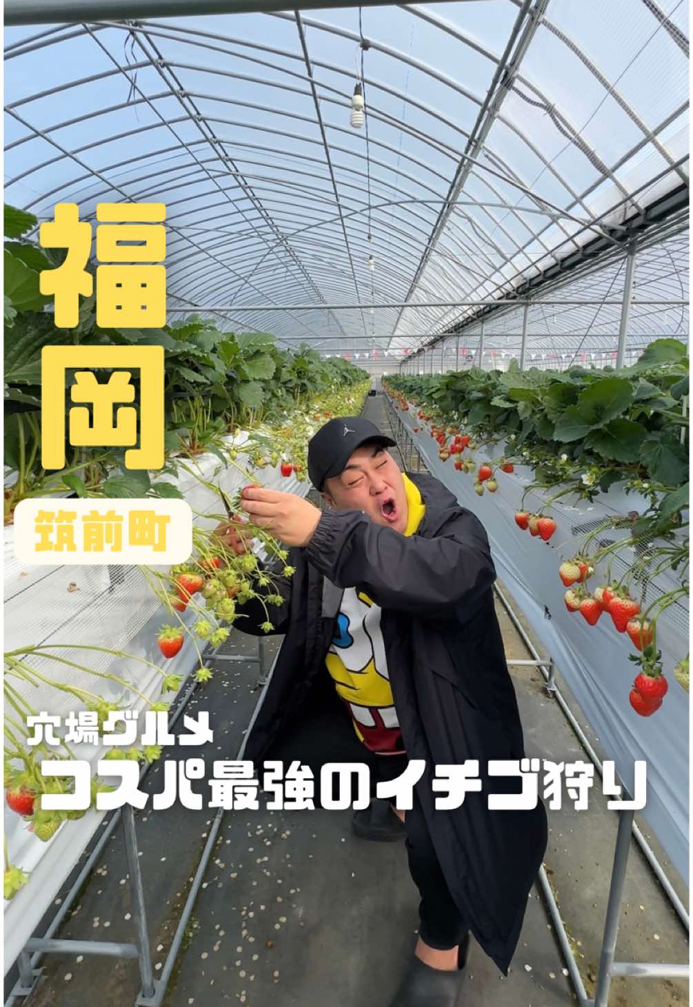 いちご狩り らいおん果実園